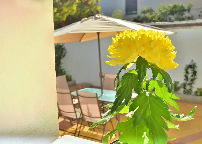 Casa Limon Patio Y Parking 格拉纳达